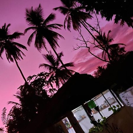 Wine Tree Garden Guesthouse Mirissa Exterior photo