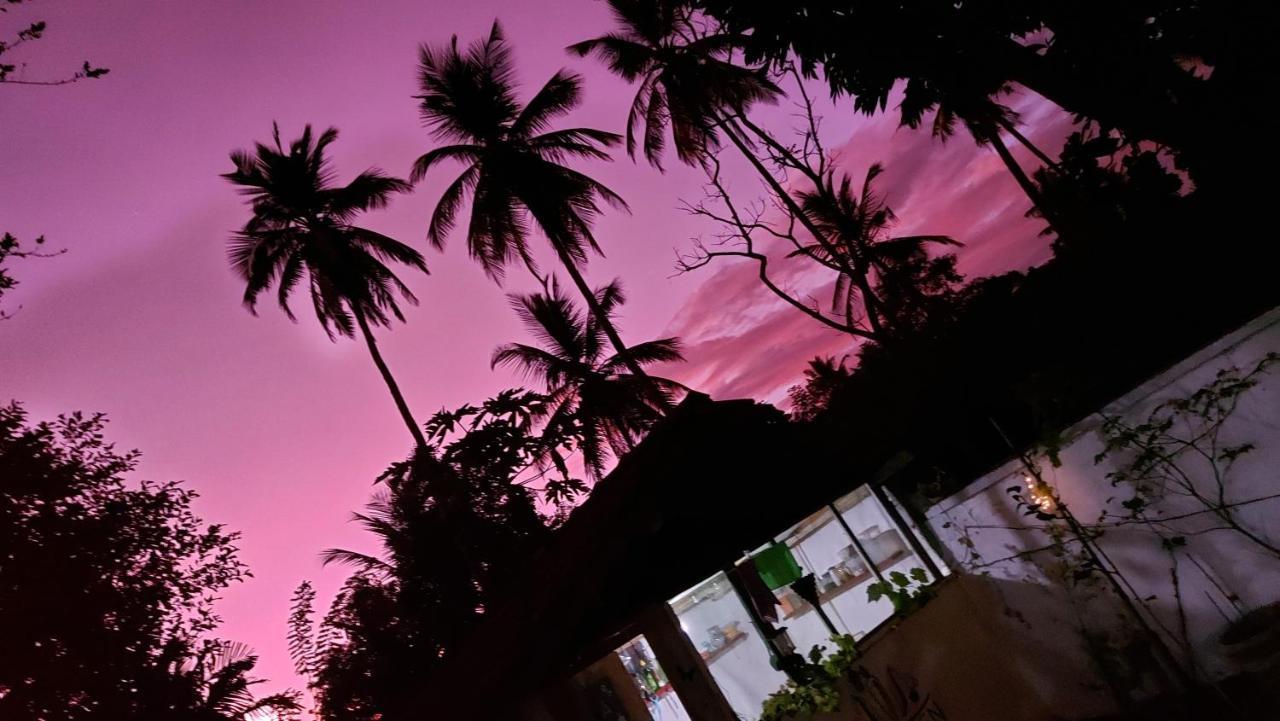 Wine Tree Garden Guesthouse Mirissa Exterior photo