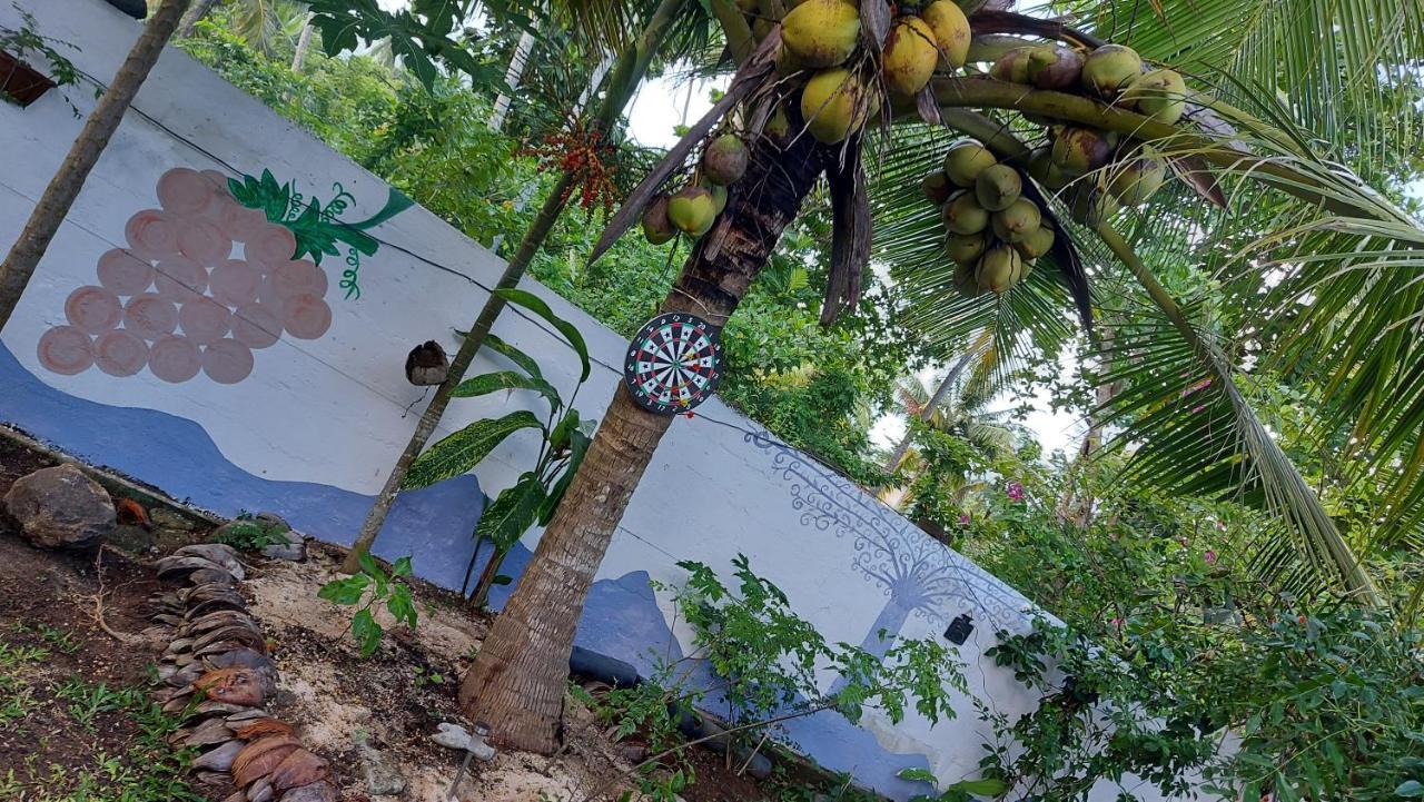 Wine Tree Garden Guesthouse Mirissa Exterior photo