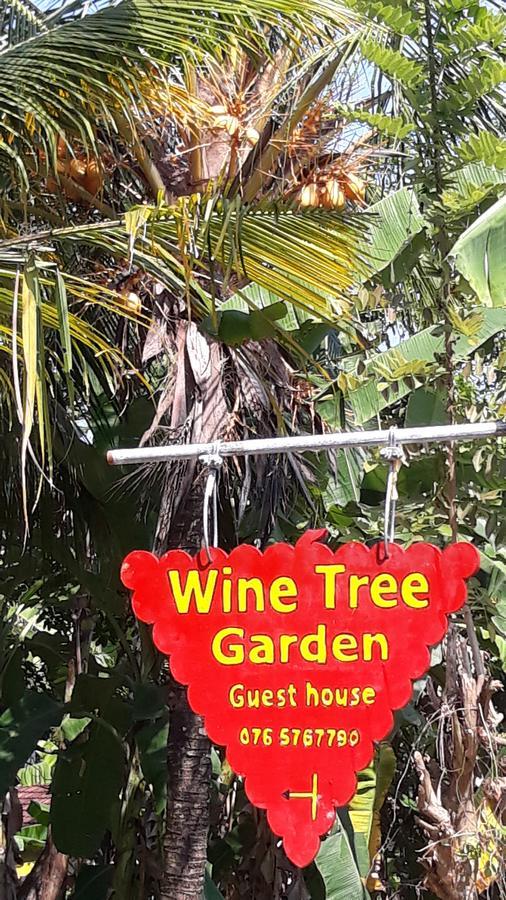 Wine Tree Garden Guesthouse Mirissa Exterior photo