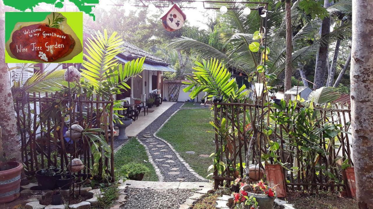 Wine Tree Garden Guesthouse Mirissa Exterior photo
